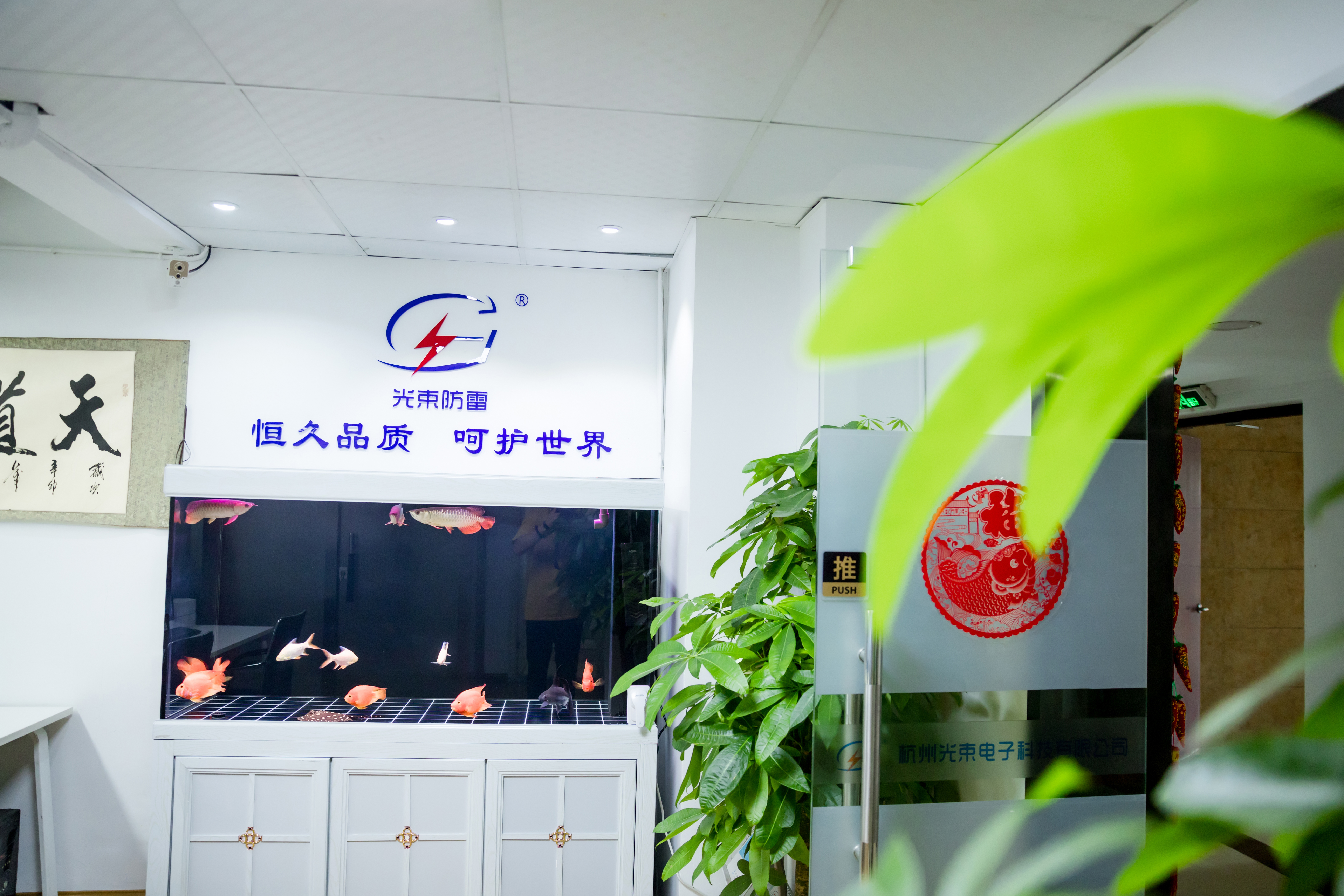 浪涌保護器包驗收通過廠家